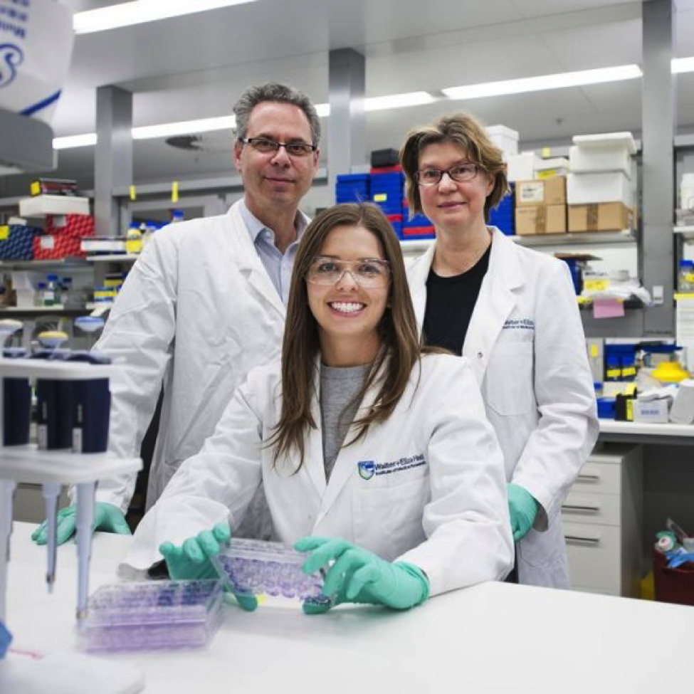 (L-R): Geoff Lindeman, Emma Nolan, Jane Visvader | Walter and Eliza Hall Institute, Australia
